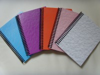 Caderno -  Linha Escolar